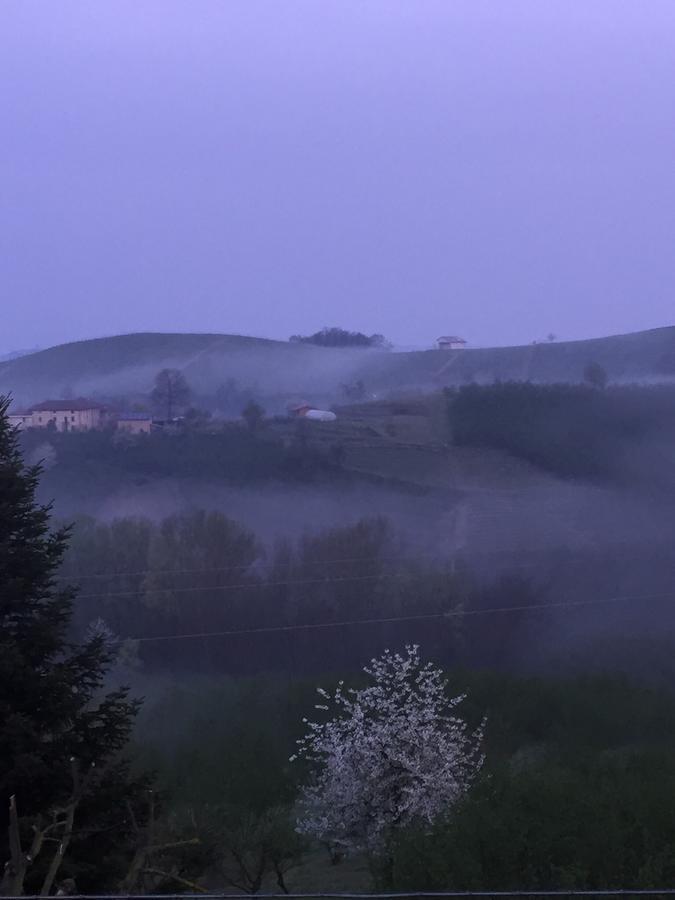 Bed and Breakfast Cascina Baresane Альба Екстер'єр фото