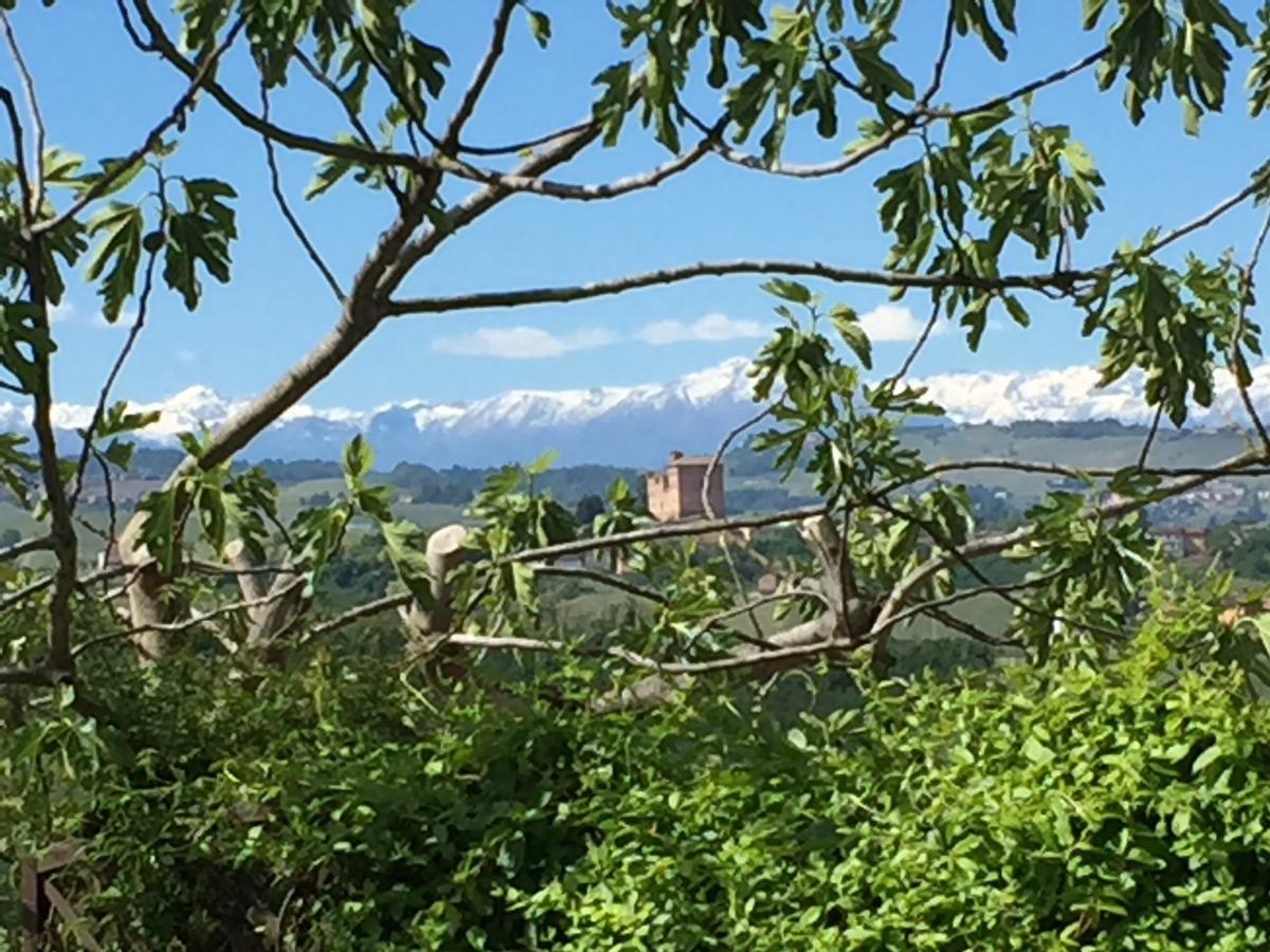 Bed and Breakfast Cascina Baresane Альба Екстер'єр фото