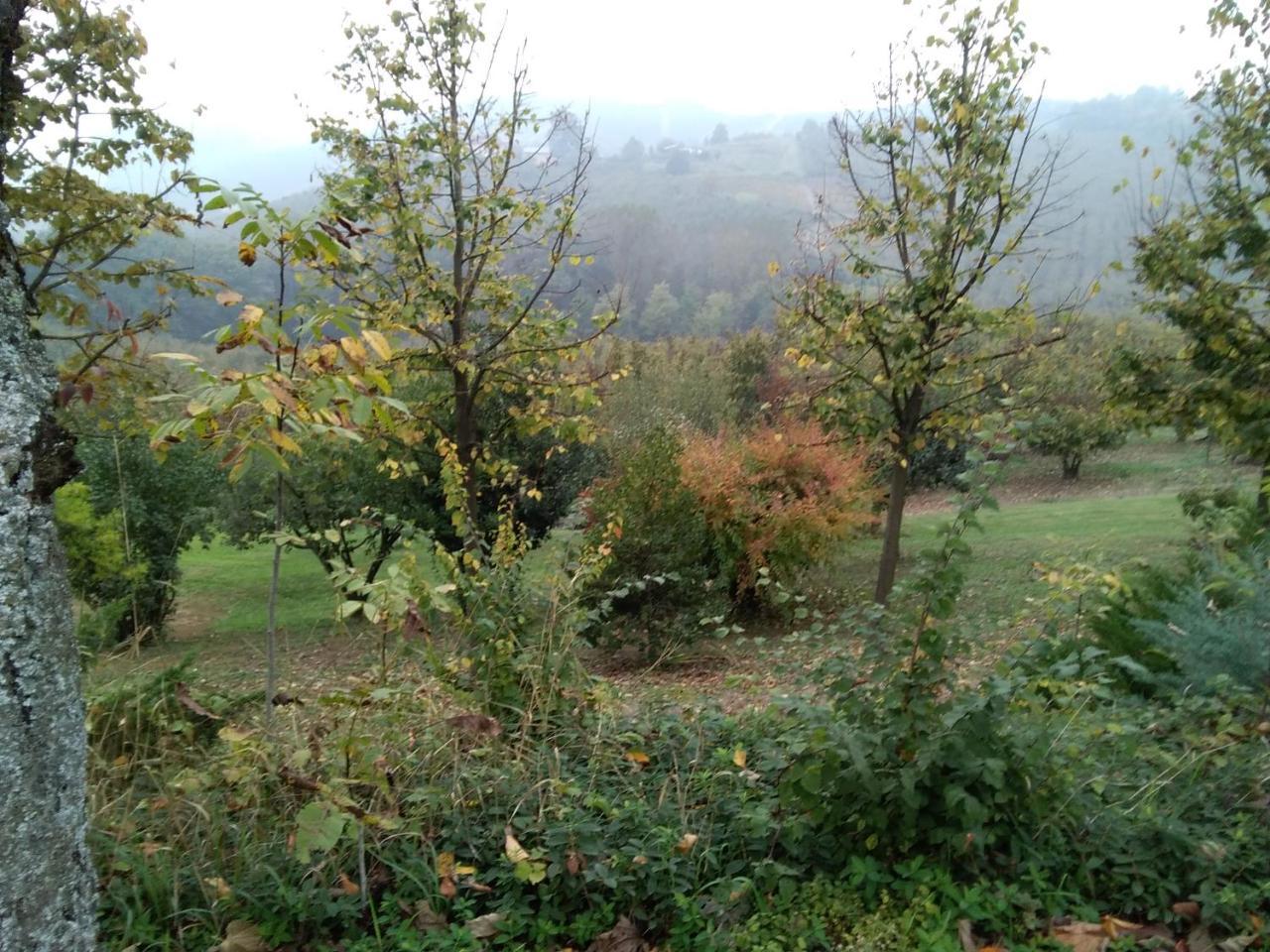 Bed and Breakfast Cascina Baresane Альба Екстер'єр фото